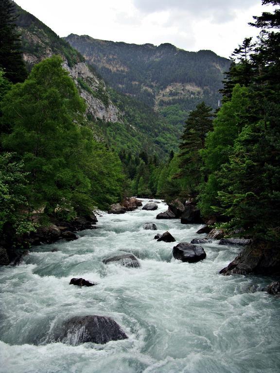 Camping Valle De Bujaruelo Torla Eksteriør bilde